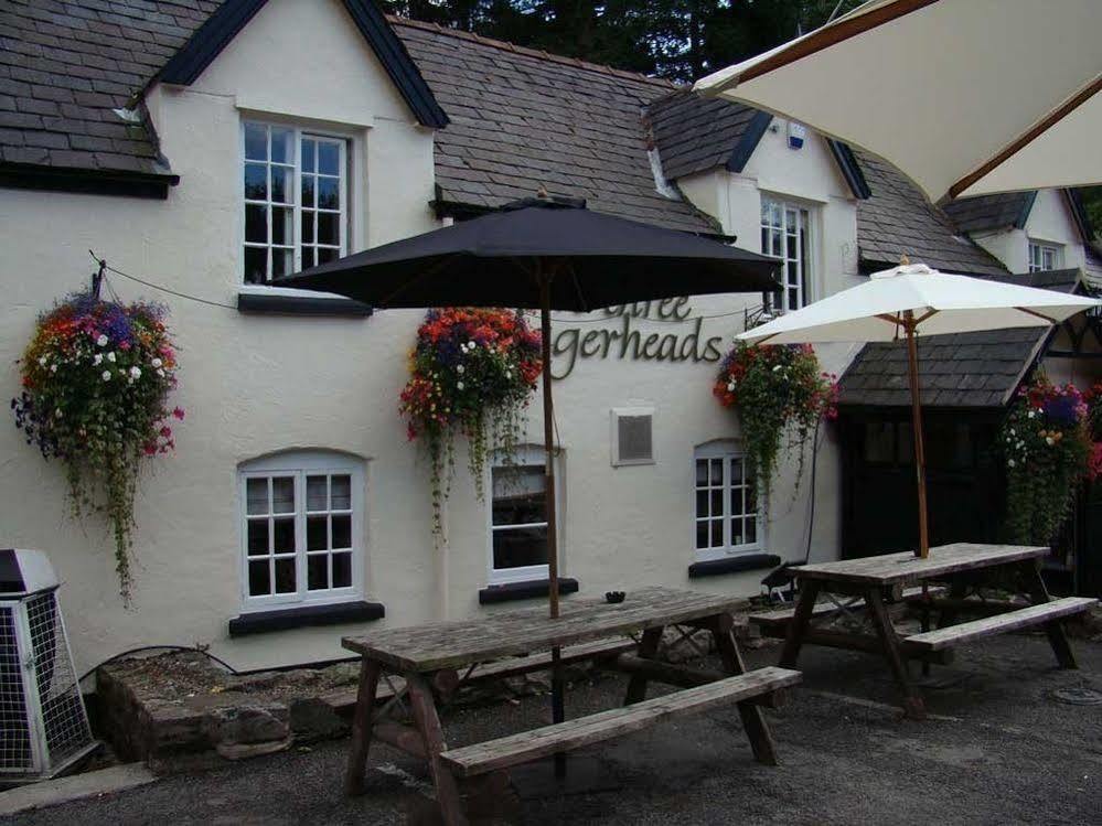 维斯瑞罗格黑兹酒店 Gwernymynydd 外观 照片
